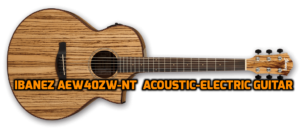 Ibanez Exotic Wood AEW40ZW-NT